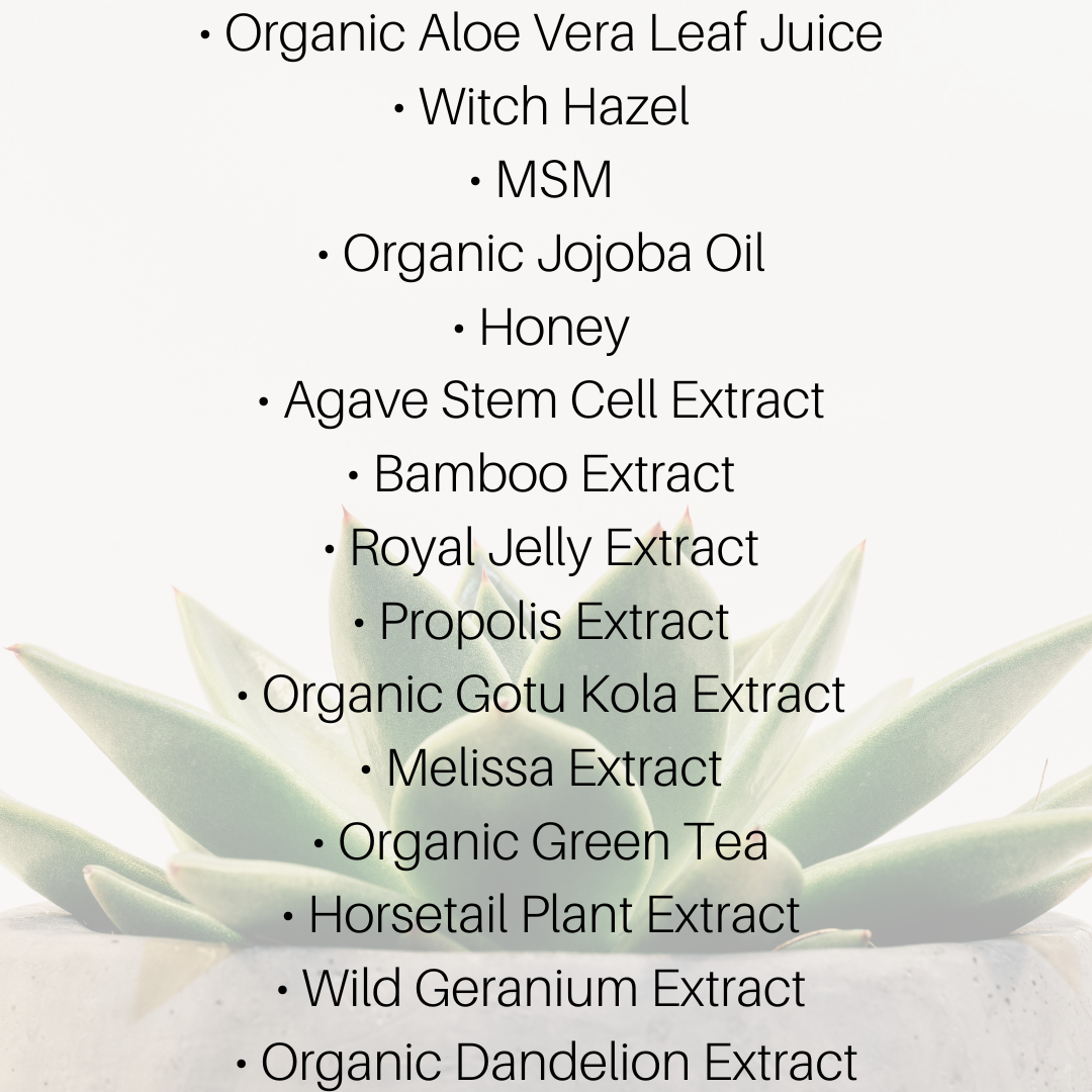 Key ingredients of Agave Hydragel: Agave stem cells, bee complex (propolis, royal jelly, honey), bamboo extract, and nourishing botanical extracts (organic gotu kola, melissa, green tea, horsetail plant, wild geranium, organic dandelion).